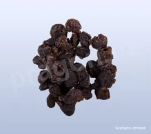 Dračí oči, longyanrou, Longanae aurillus - 30 g_4_nahled (1)