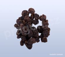 Dračí oči, longyanrou, Longanae aurillus - 30 g_4_nahled (1)