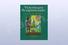 Veterinary Acupuncture: Ancient Art to Modern Medicine