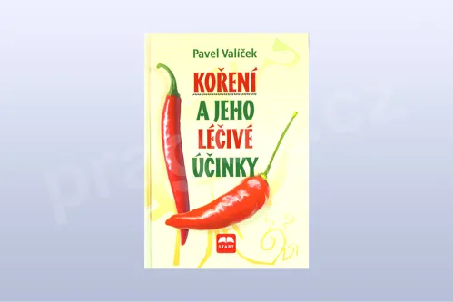 Koření a jeho léčivé účinky