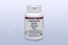 kustovnice čínská - GOJI, gouqizi 20 g - instantní prášek