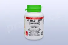 NCM1.9 - jinqiancaopian - pian/tablety 60 tbl. SINECURA NCM1.9 - jinqiancaopian - pian/tablety 60 tbl. SINECURA