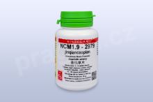 NCM1.9 - jinqiancaopian - pian/tablety SINECURA NCM1.9 - jinqiancaopian - pian/tablety SINECURA