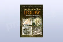 Jedlé a léčivé houby - Ivan Jablonský, Václav Šašek