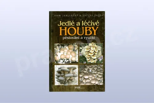 Jedlé a léčivé houby - Ivan Jablonský, Václav Šašek (kniha)