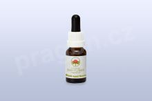 Black Eyed Susan, květová esence 30 ml