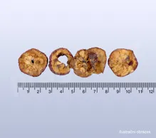 hloh, shanzha(rou), Crataegi fructus - 40g_detail (2)