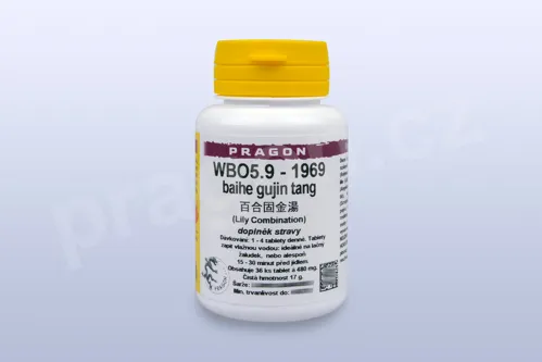 WBO5.9 - baihe gujin tang - pian/tablety_PC