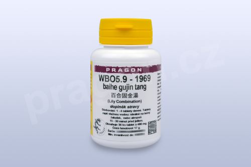 WBO5.9 - baihe gujin tang - pian/tablety_PC
