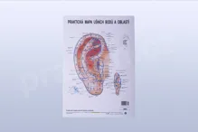 Akupunkturní mapa ucha, formát A4