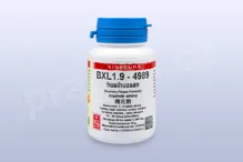 BXL1.9 - huaihuasan - pian/tablety 60 tbl. SINECURA BXL1.9 - huaihuasan - pian/tablety 60 tbl. SINECURA