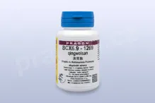 BCX6.9 - qingweisan - pian/tablety 36 tbl. PRAGON