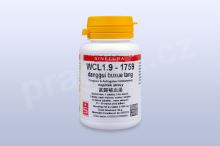 WCL1.9 - danggui buxue tang - pian/tablety 60 tbl. SINECURA WCL1.9 - danggui buxue tang - pian/tablety 60 tbl. SINECURA