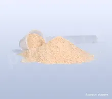 Blazei–MRL BIO biomasa 100 g – detail produktu (1)