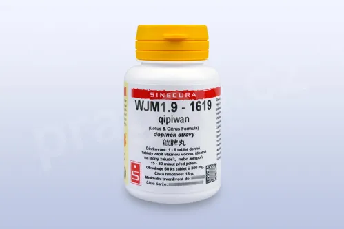 WJM1.9 - qipiwan - pian/tablety
