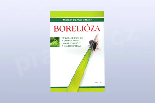 Borelióza, Stephen Harrod Buhner