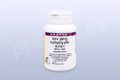kov jang - bujinyang - pian/tablety_1