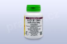 XLC1.9 - xuefu zhuyu tang - pian/tablety 36 tbl. PRAGON