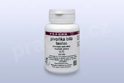 pivoňka bílá, baishao  -  20 g - instantní prášek_P