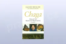 Chaga: King of the Medicinal Mushrooms, David Wolfe Chaga: King of the Medicinal Mushrooms, David Wolfe