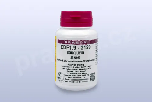 EBF1.9 - sangjuyin - pian/tablety_PC