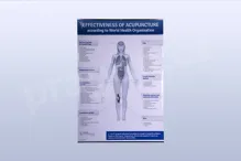 Effectiveness of Acupuncture according to World Health Organisation