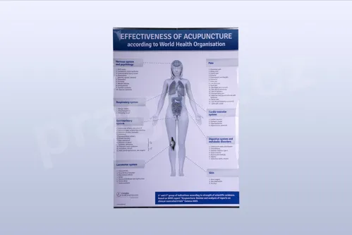 Effectiveness of Acupuncture according to World Health Organisation