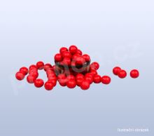 TTW9.7 - naolibao wan -wan/pokroutky-pokroutky (1)