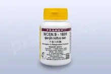 WCEN.9 - qianjin neituo san - pian/tablety 36 tbl. PRAGON WCEN.9 - qianjin neituo san - pian/tablety 36 tbl. PRAGON