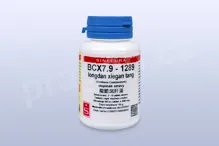 BCX7.9 - longdan xiegan tang - pian/tablety 60 tbl. SINECURA BCX7.9 - longdan xiegan tang - pian/tablety 60 tbl. SINECURA