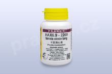 HAX6.9 - banxia xiexin tang - pian/tablety 36 tbl. PRAGON HAX6.9 - banxia xiexin tang - pian/tablety 36 tbl. PRAGON