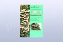 Houby jako elixír života, Anna Lepšová